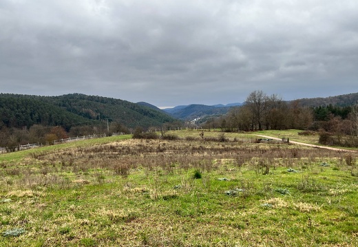 24-03-01 11-00-10 8856